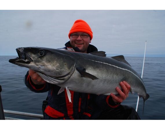 Havoysund Arronet boot