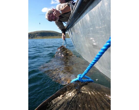 Havoysund Arronet boot