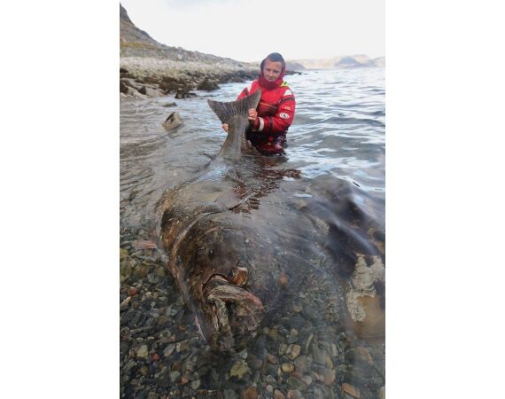 Havoysund Arronet boot