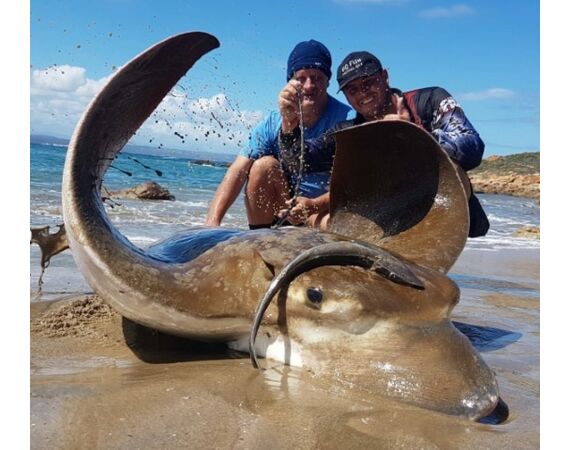 Zuid Afrika Mosselbaai