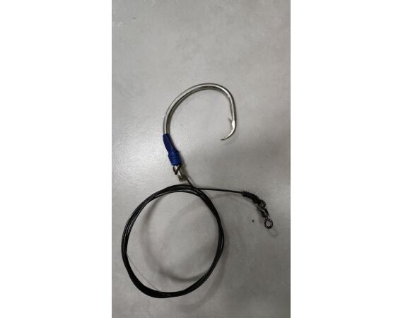 Zuid Afrika Mosselbaai