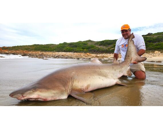 Zuid Afrika Mosselbaai