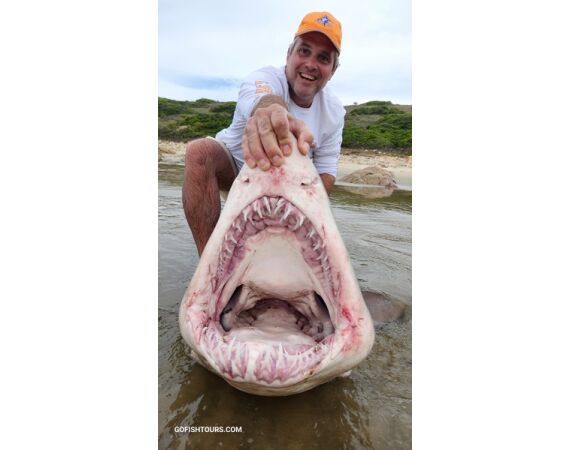 Zuid Afrika Mosselbaai