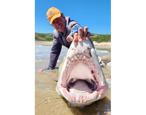 Zuid Afrika Mosselbaai