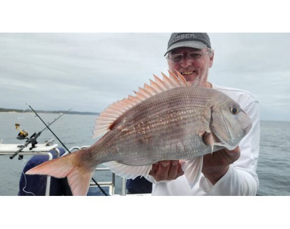 Zuid Afrika Mosselbaai