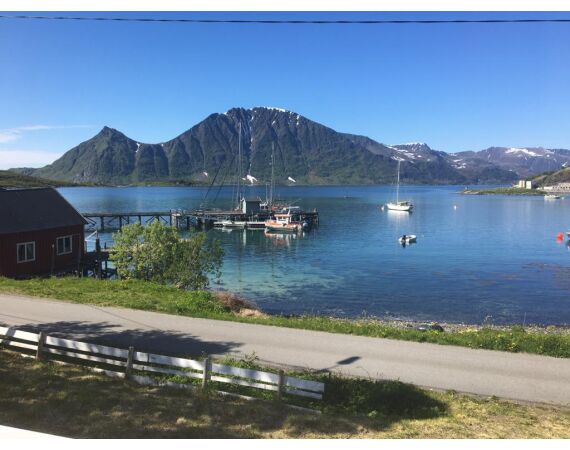 Savage Gear Loppa festival juni 2026