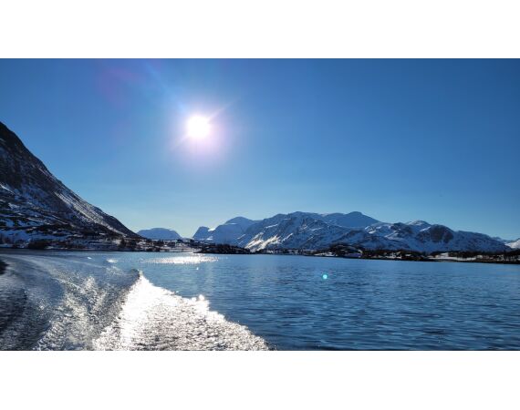 Savage Gear Loppa festival juni 2026