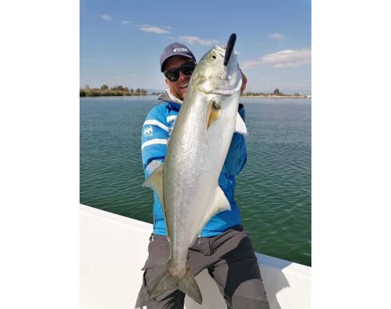 Spanje Blauwvintonijn