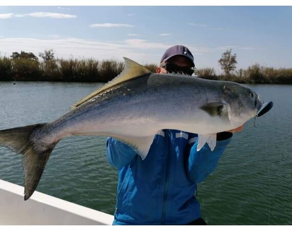 Spanje Blauwvintonijn