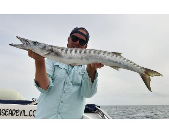 Spanje Blauwvintonijn