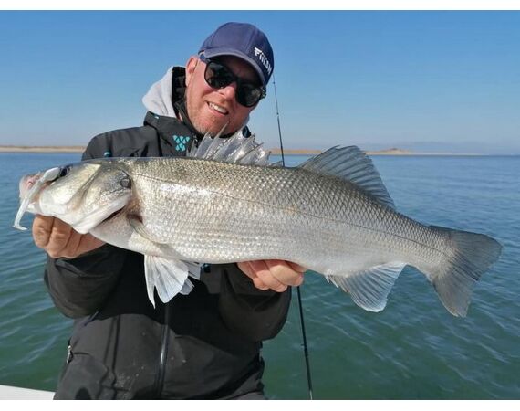 Spanje Blauwvintonijn