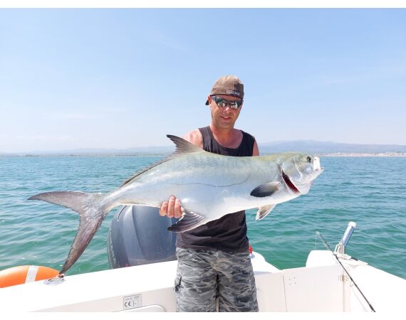 Spanje Blauwvintonijn