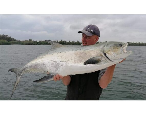 Spanje Blauwvintonijn