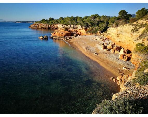 Spanje Blauwvintonijn