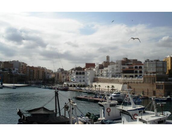 Spanje Blauwvintonijn