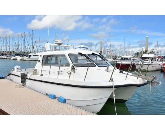 Spanje Blauwvintonijn