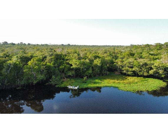 Arapaima Bolivia aug 2026