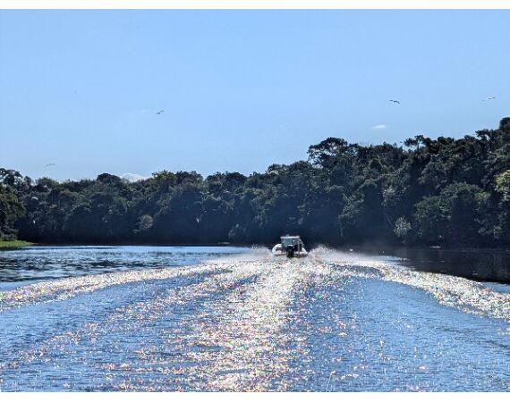 Arapaima Bolivia aug 2026