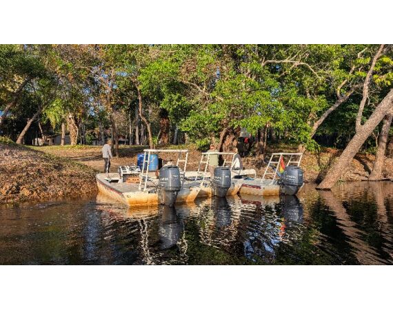 Arapaima Bolivia aug 2026
