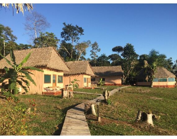 Arapaima Bolivia aug 2026