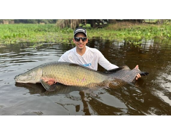 Arapaima Bolivia aug 2026