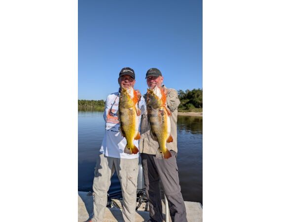 Arapaima Bolivia aug 2026