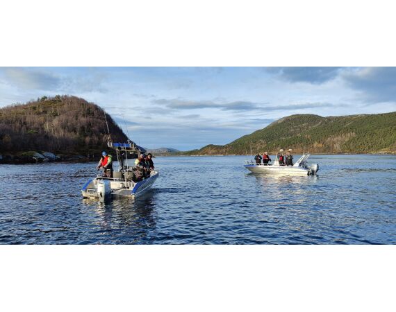 Raven Noorwegen festival 2026