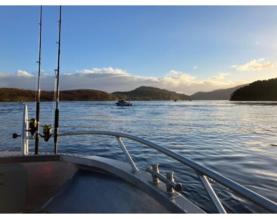 Raven Noorwegen festival 2026