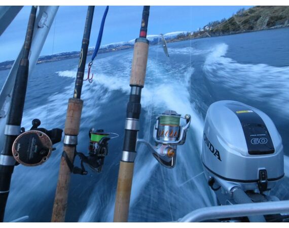 Raven Noorwegen festival 2026