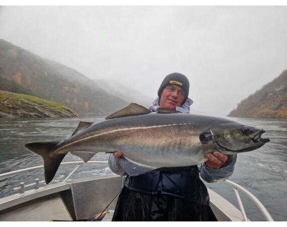 Raven Noorwegen festival 2026