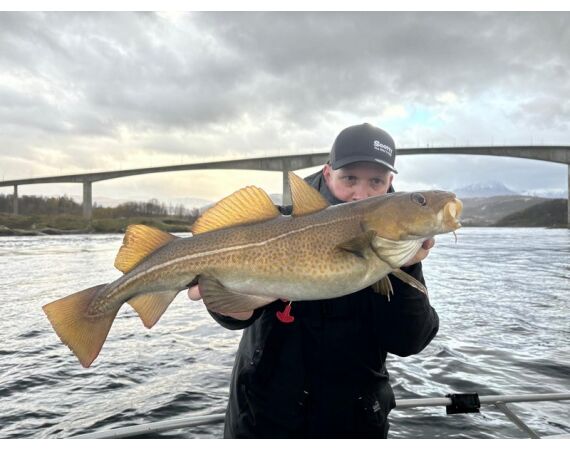 Raven Noorwegen festival 2026