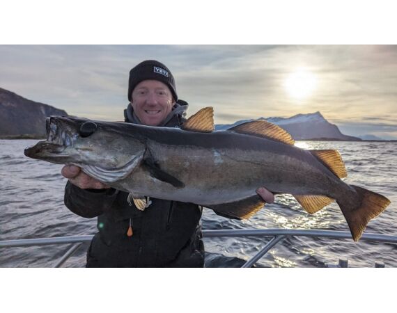 Raven Noorwegen festival 2026