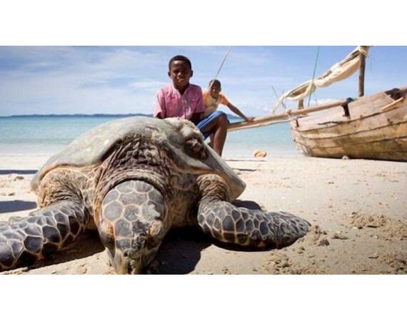 Madagascar Live aboard