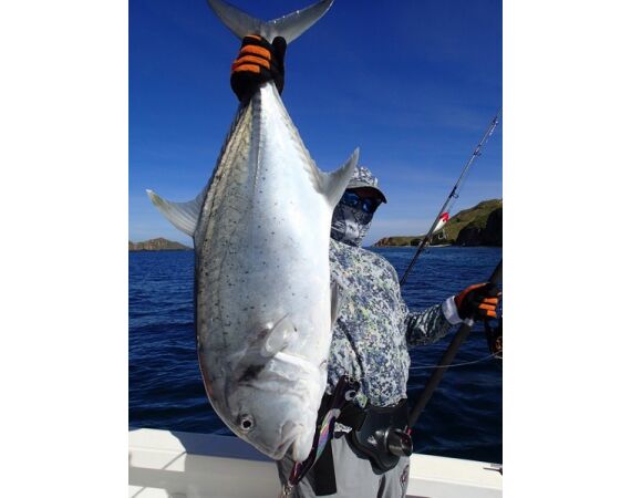 Madagascar Live aboard