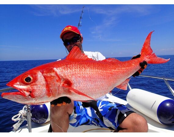 Madagascar Live aboard