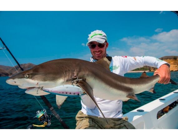 Madagascar Live aboard