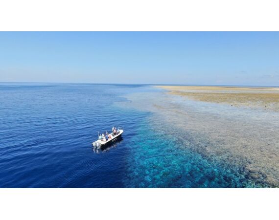 Indonesie Live aboard