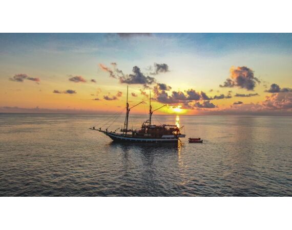 Indonesie Live aboard