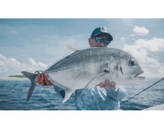 Indonesie Live aboard