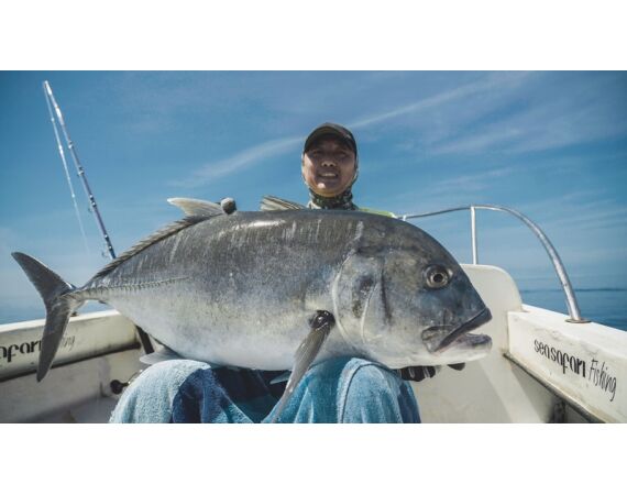 Indonesie Live aboard