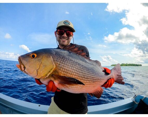 Indonesie Live aboard