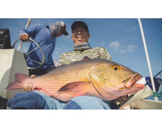 Indonesie Live aboard