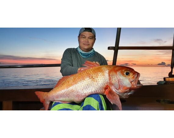 Indonesie Live aboard