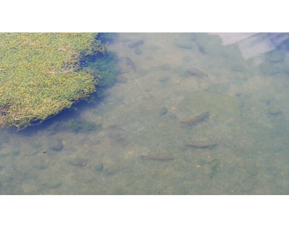 Van oost naar west in de Spaanse Pyreneeën okt 26