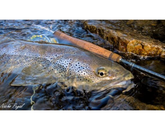 Van oost naar west in de Spaanse Pyreneeën okt 26