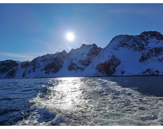 Savage Gear Skrei festival mrt 26