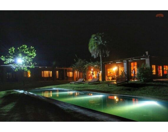 Argentinie, Golden Dorado