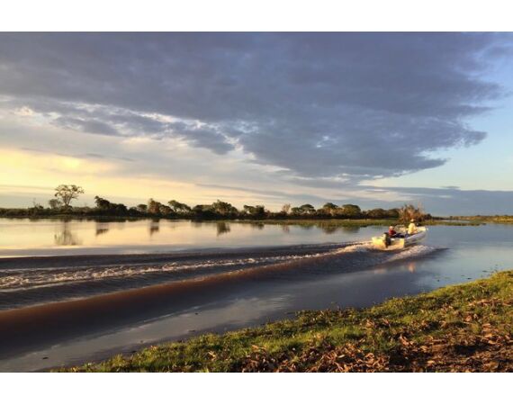 Argentinie, Golden Dorado