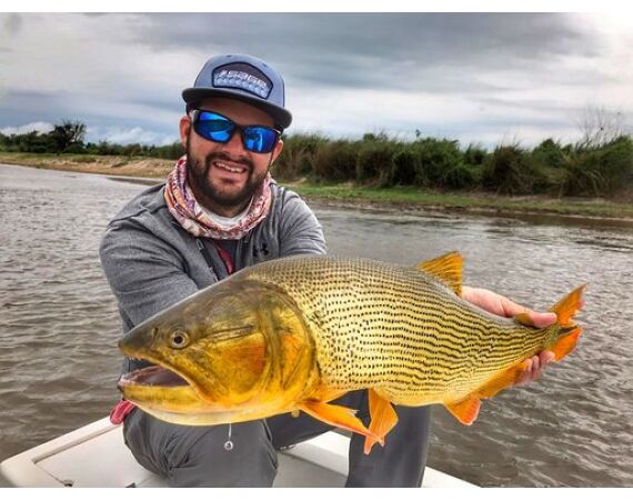 Argentinie, Golden Dorado