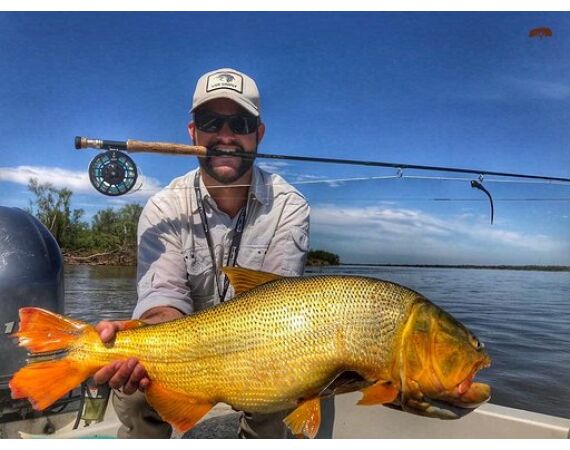Argentinie, Golden Dorado